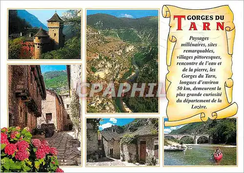 Cartes postales moderne Gorges du Tarn Paysages millinaires