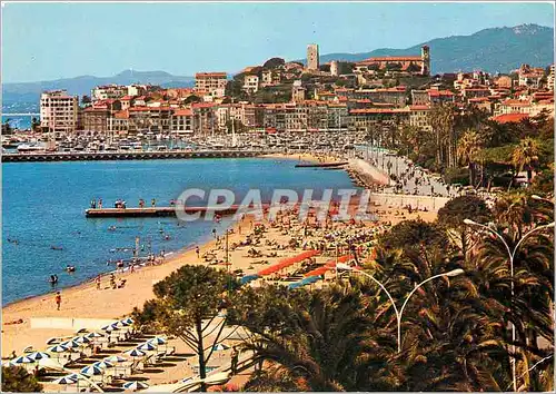 Cartes postales moderne Cannes Une partie de la nouvelle Plage le Quai St Pierre et le Suquet