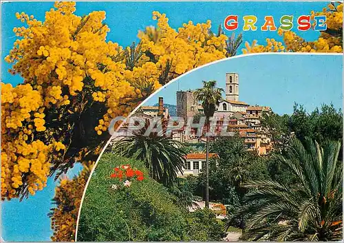 Cartes postales moderne Grasse Alpes Maritimes Cite des Fleurs Capital des Parfurms