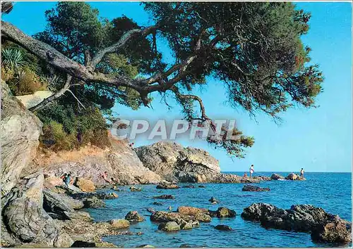 Cartes postales moderne La Cote d'Azur Bord de mer