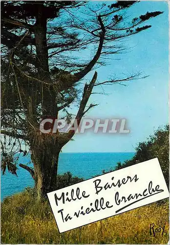 Cartes postales moderne Mille Baisers Ta vieille Granche