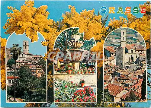 Cartes postales moderne Grasse Alpes Maritimes Cite des fleurs Capital des parfurms