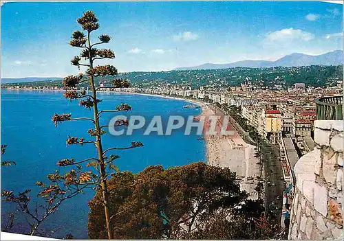 Cartes postales moderne Nice Vue generale prise du Chateau