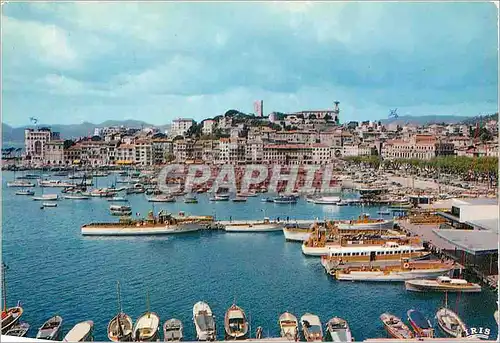 Cartes postales moderne Cannes Le Port et le Suquet