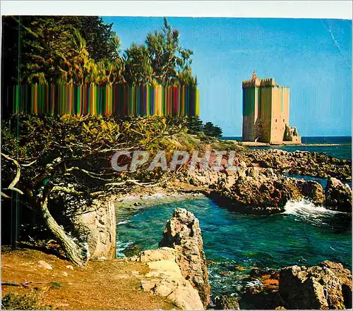 Cartes postales moderne La Cote d'Azur miracle de la nature Ile Saint Honorat AM