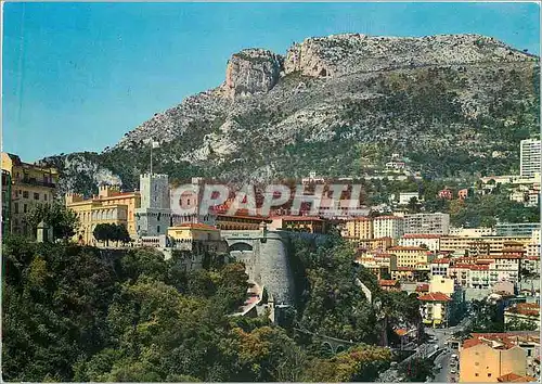 Cartes postales moderne La Principaute de Monaco Le Palais du Prince et la Tete de Chien