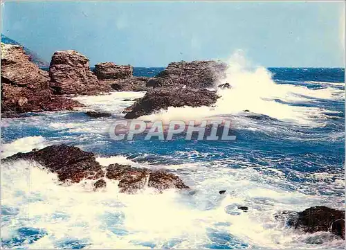 Cartes postales moderne La Mediterranee La mer par gros temps