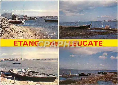 Cartes postales moderne Leucate Plage L'Etang