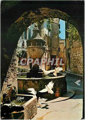 Cartes postales moderne Saint Paul Alpes Maritimes Colombes devant la fontaine provencale