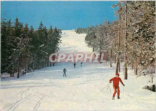 Cartes postales moderne Sur le Plateau du Massif Central Joie du Ski