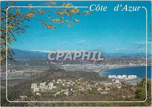 Cartes postales moderne Au soleil de la Cote d'Azur Mandelieu La Napoule Cannes La BOcca