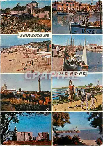 Cartes postales moderne Ile de Re Char Marit de gauche a droite Saint Martin Porte des Campani