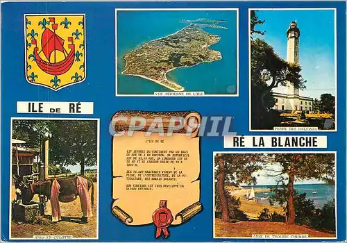 Cartes postales moderne Ile de Re Ch Mme