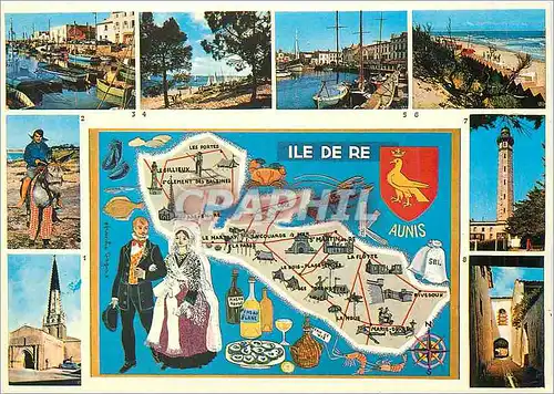 Cartes postales moderne Ile de Re Charente Maritime Ars en Re Ane en culottes La Flotte Trousse Chemise