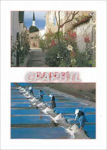 Cartes postales moderne Ile de Re Ars en Re Le clocher de l'Eglise Saint Etienne vu d'une ruelle fleurie et les marais s