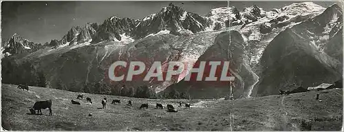 Cartes postales moderne La temps des Sannailles au pays du Mont Blanc