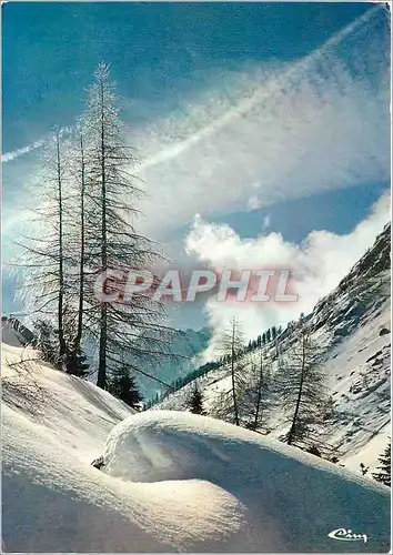 Cartes postales moderne Neige et soleil Feerie hivernale