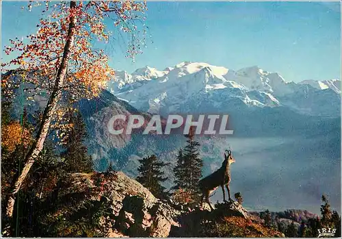 Moderne Karte Le Chamois des Alps