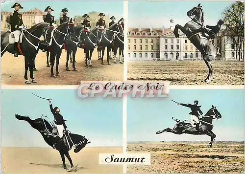 Cartes postales moderne Saumur La Cadre Noir Cheval Militaria