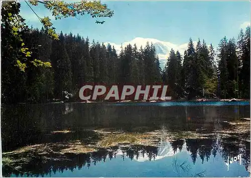 Moderne Karte Plateau d'Assy Haute Savoie Le Lac Vert et le Mont Blanc