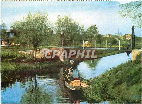 Cartes postales moderne Amiens Les Hortillonnages