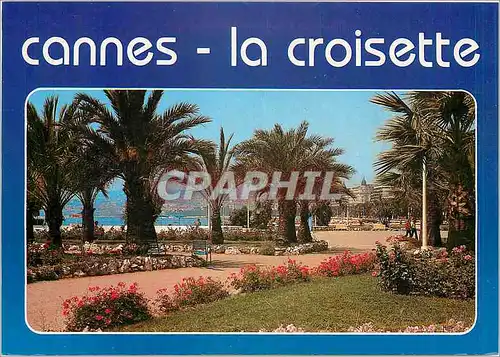 Moderne Karte Cannes La Croisette Une partie des Jardins fleuris de la Croisette