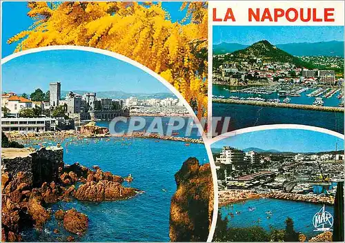 Cartes postales moderne La Cote d'Azur La Napoule Plage