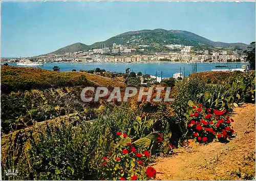 Cartes postales moderne Ajaccio Vue generale