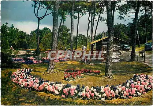 Cartes postales moderne La Tranche s Mer L'Entree des Floralies