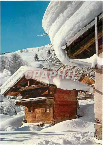 Cartes postales moderne Le Mazot des Neiges