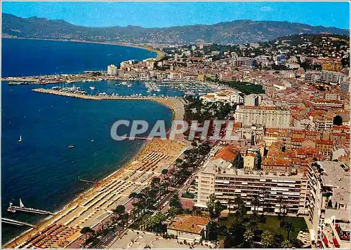 Cartes postales moderne Cannes Alpes Maritimes Vue generale la Croisette et le Port