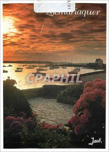 Cartes postales moderne Locmariquer Morbihan Le port au coucher du soleil