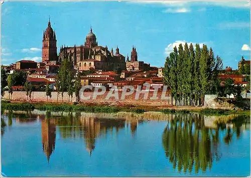 Cartes postales moderne Salamanca Cathedrale et fleurs Tormes