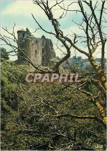 Cartes postales moderne Cantal Touristique Environs de Pleaux Les Ruines du Chateau de Branzac