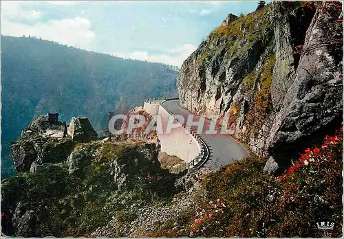 Cartes postales moderne Les Hautes Vosges La Schlucht La route de Munster