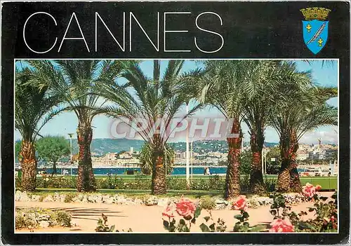 Cartes postales moderne Cote d'Azur Cannes