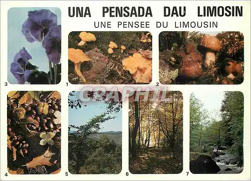 Moderne Karte Le Limousin es tterre accueillante vous u trouverez distractions bon air bonne chere et repos Ch