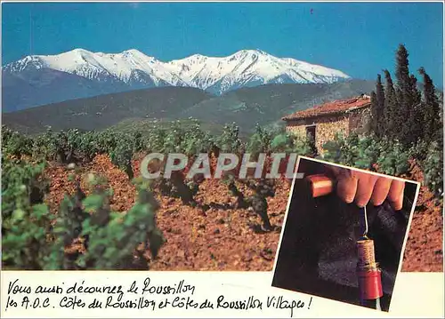 Cartes postales moderne Le Mont Canigou Roussillon France