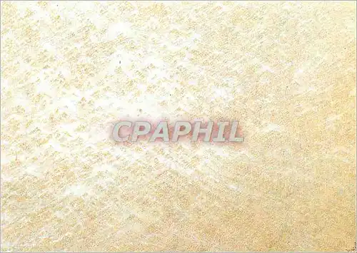 Cartes postales moderne Quinzieme annee en France