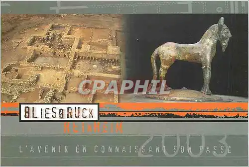 Moderne Karte Par Archeologique Europeen de Bliesbruck Reinheim