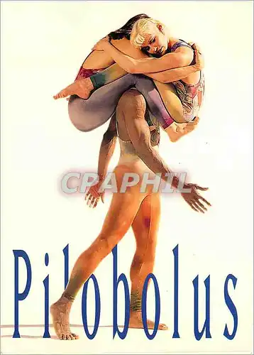 Cartes postales moderne Pilobolus