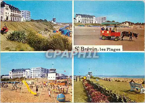Cartes postales moderne St Brevin Les plages a l'ocean  Ane Mule