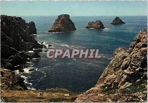 Cartes postales moderne Camaret sur Mer Finistere Les Tas de Pois a la Pointe de Pen Hir