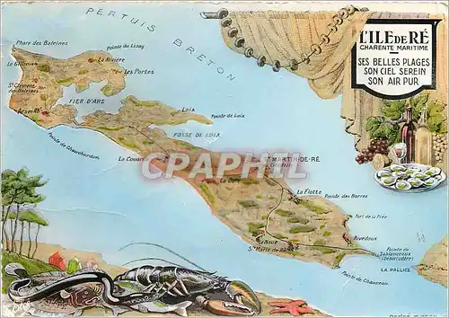 Cartes postales moderne L'Ile de Re Charente Maritime
