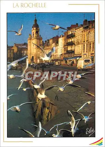 Cartes postales moderne La Rochelle Charente Maritime Ville Historique