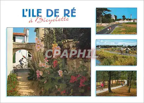 Cartes postales moderne L'Ile de Re Balade a bicyclette dans l'ile