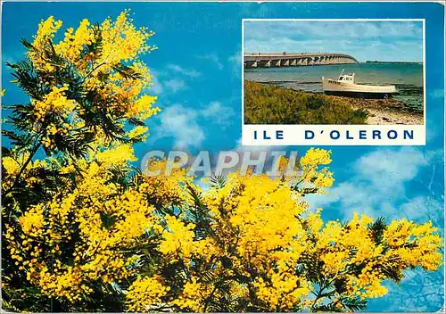 Cartes postales moderne Ile d'Oleron Charente Maritime Pont d'Oleron