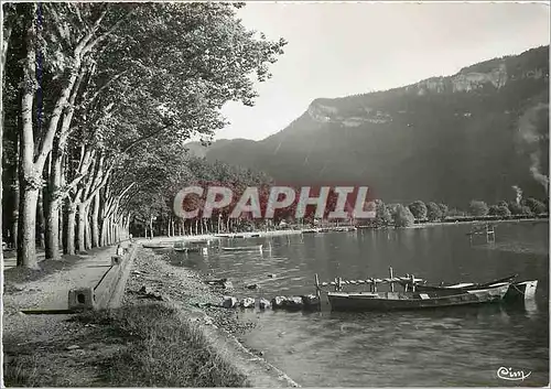 Cartes postales moderne Nantua Ain Promenade du Lac et le Signal