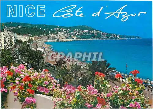 Cartes postales moderne Nice Alpes Maritimes La Promenade des Anglais