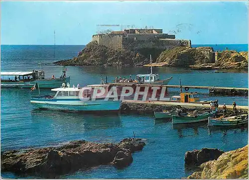 Cartes postales moderne Hyeres les Palmiers Presqu'ile de Giens Bateaux